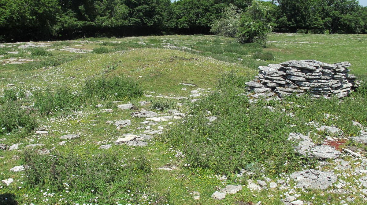 Salera etxola hondoa, Andia