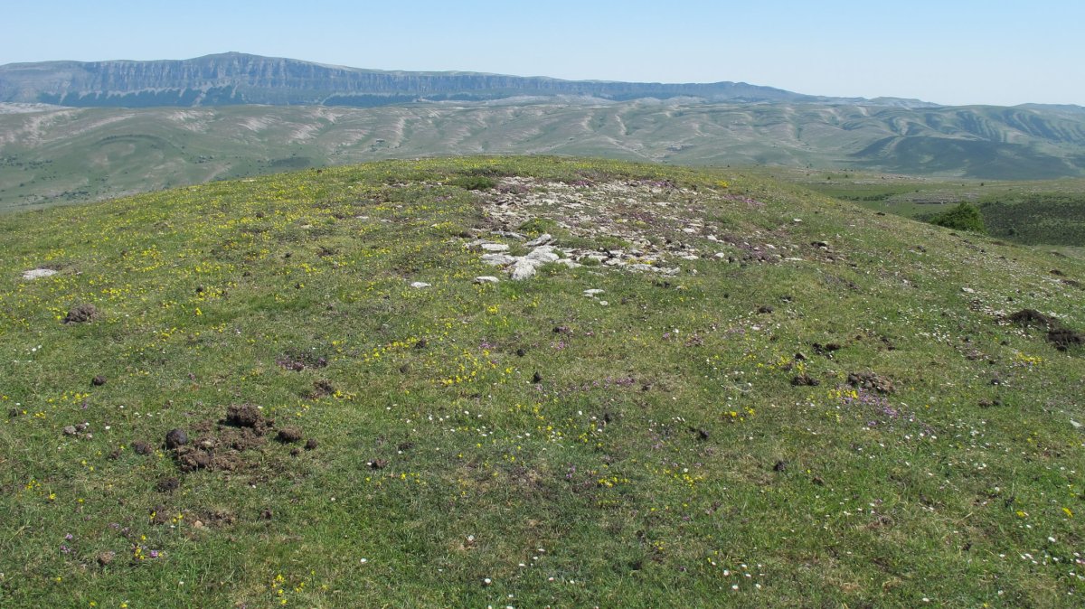 Zaborrateko Aldapa tumulua, Andia