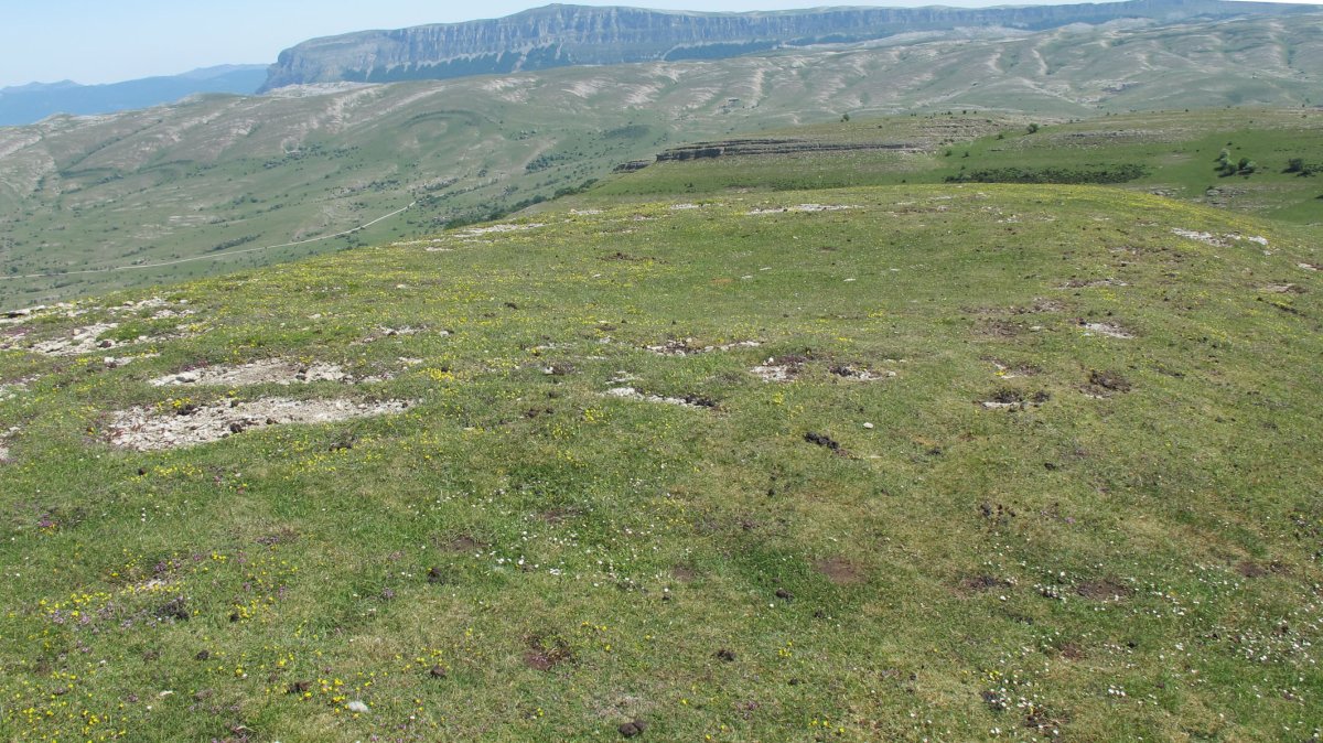 Zaborrateko Aldapa eraztun-tumulua, Andia