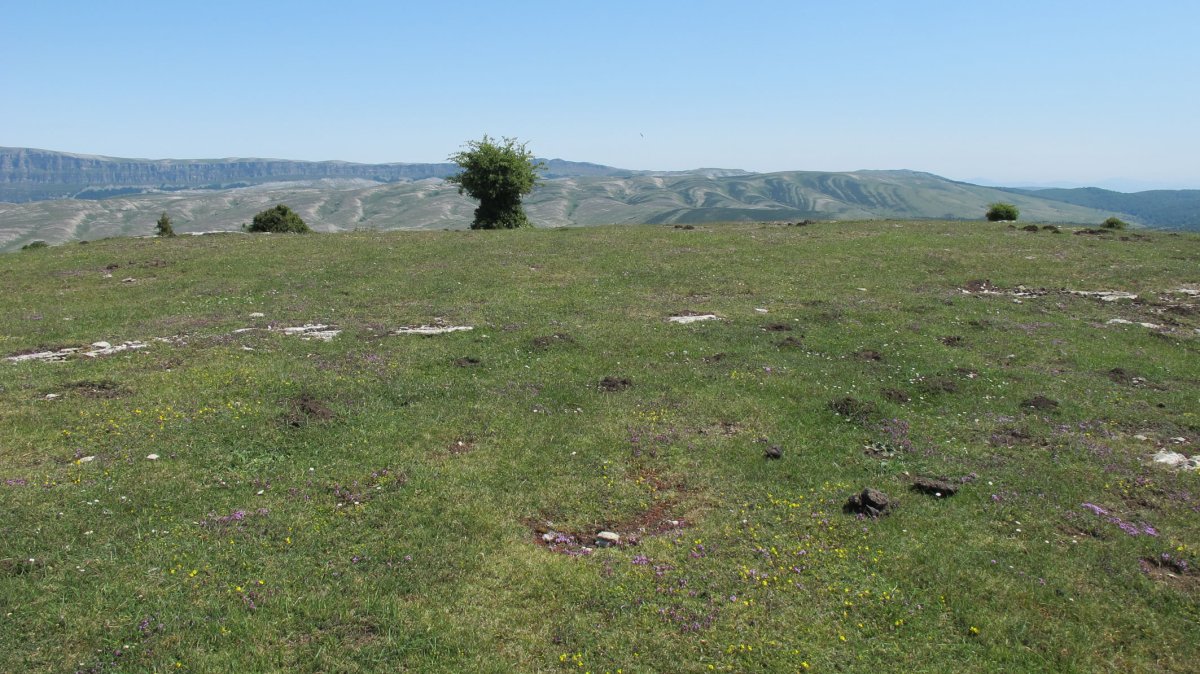 Fuente del Boj eraztun-tumulua, Andia