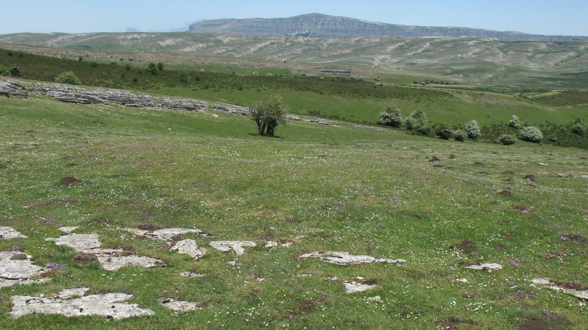 Pokapena 2 etxola hondoa, Andia