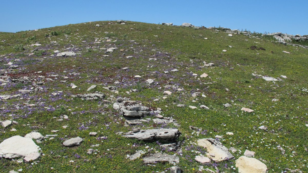 Larrenganbela mendebal etxola hondoa, Andia