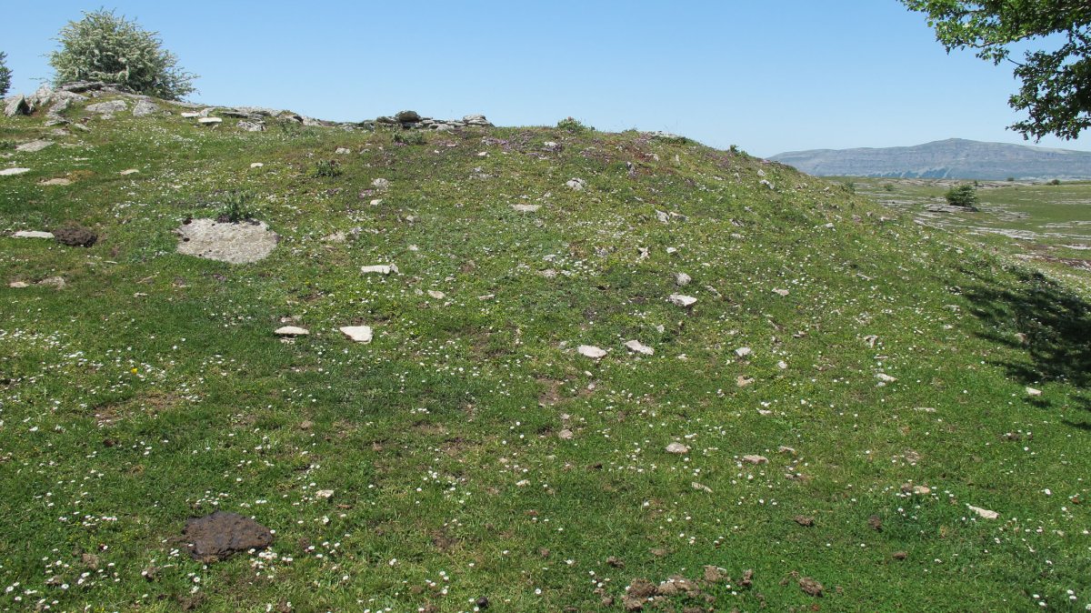 Larrenganbelako Aldapa 1 etxola hondoa, Andia