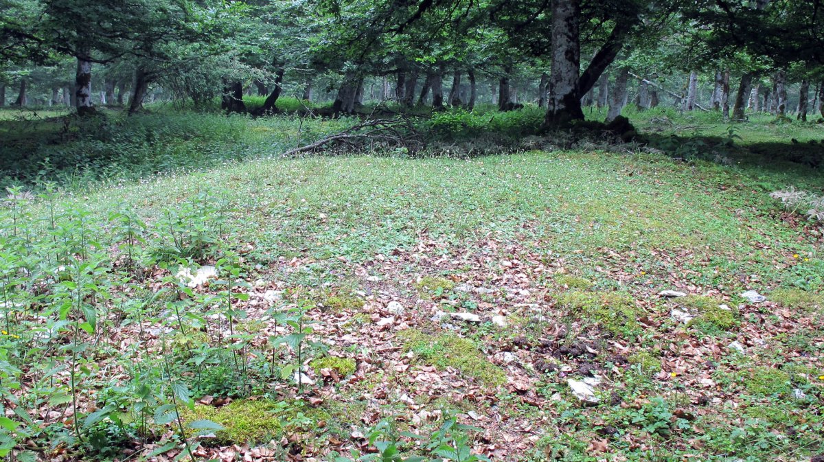 Zurloz etxola hondoa, Iturgoien