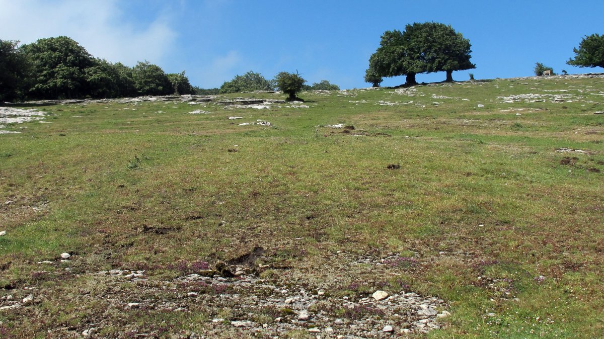 Larrenganbelako Aldapa 2 etxola hondoa, Andia