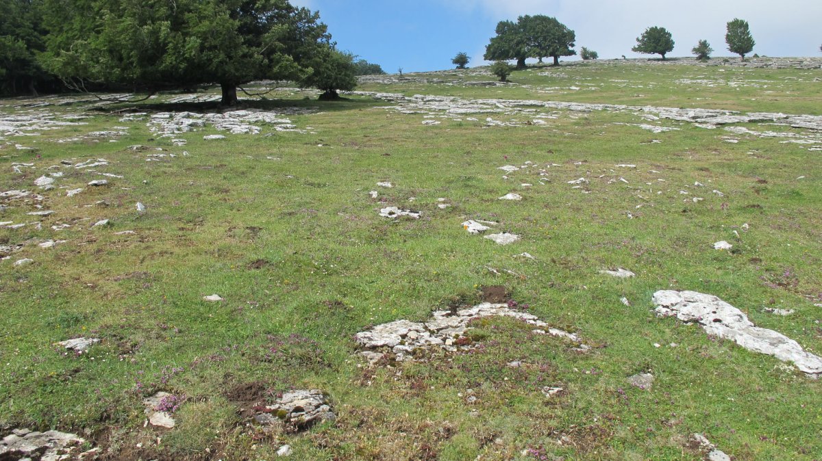 Larrenganbelako Aldapa eraztun-tumulua, Andia