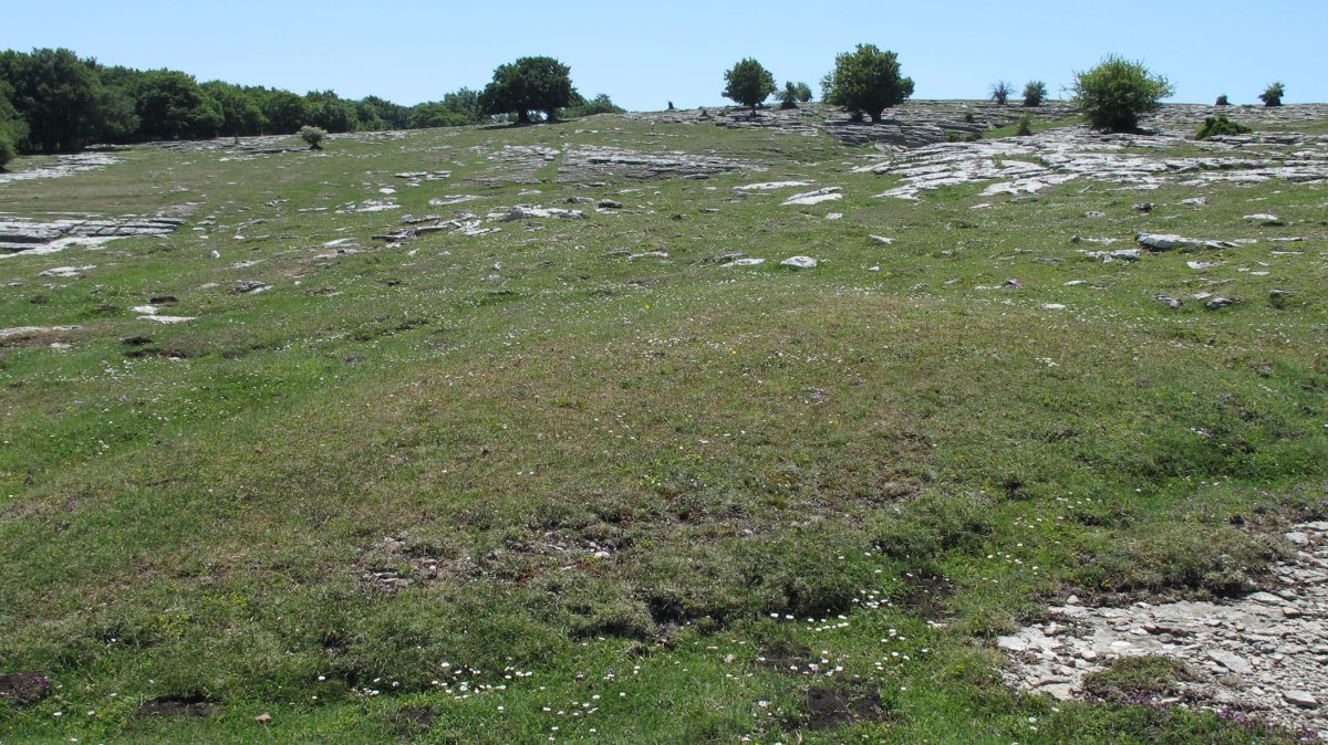 Larrenganbelako Aldapa 4 etxola hondoa, Andia