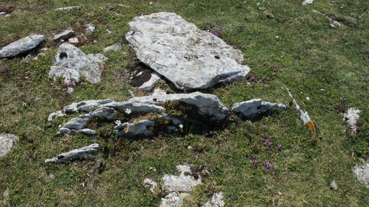 Larrenganbelako Aldapa 2 tumulua, Andia