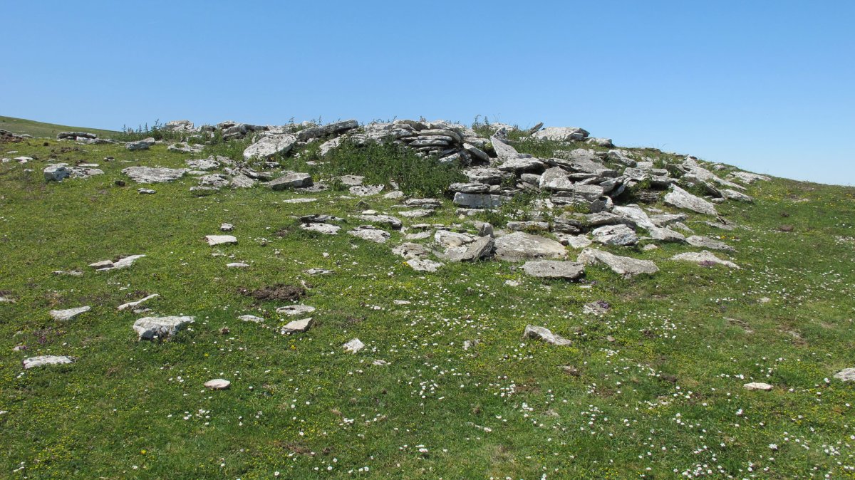 Larrenganbela 1 ipar txabola tumularra, Andia