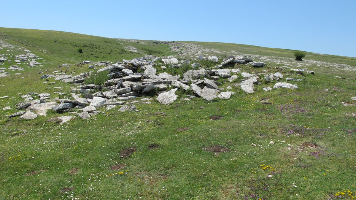 Larrenganbela 1 ipar txabola tumularra, Andia
