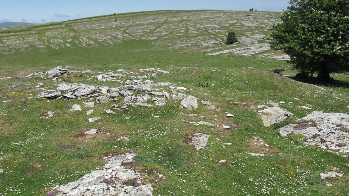 Larrenganbelako Aldapa txabola tumularra, Andia