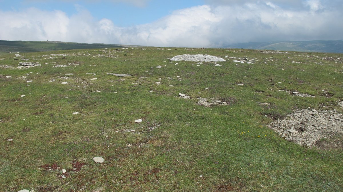 Larrenganbela eraztun-tumulua, Andia