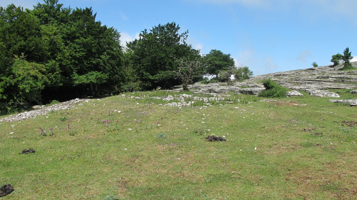 Bordas Larginburu 2 etxola hondoa, Andia