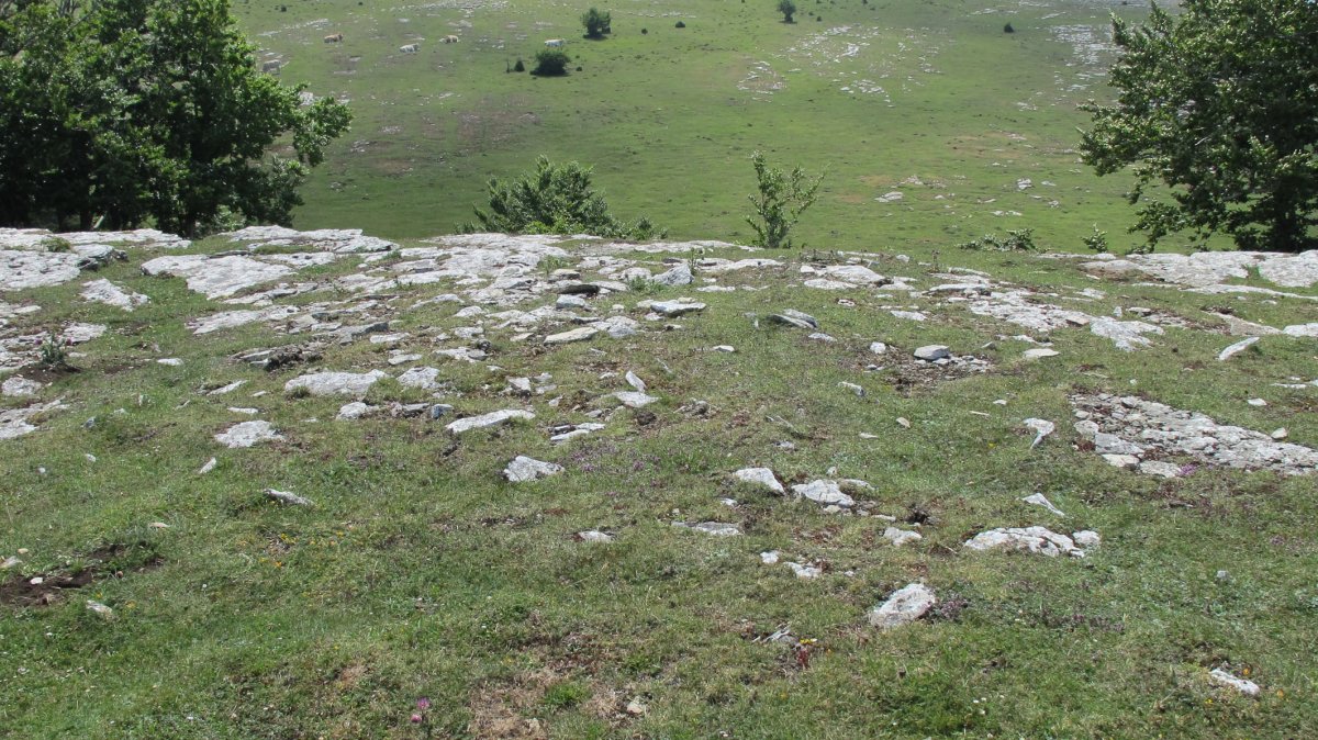 Larginburu 2 ipar tumulua, Andia