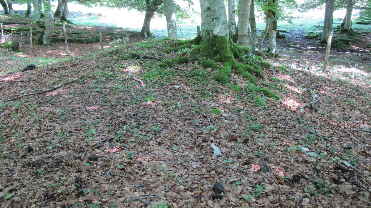 Larginburu tumulua, Iturgoien-Gesalatz