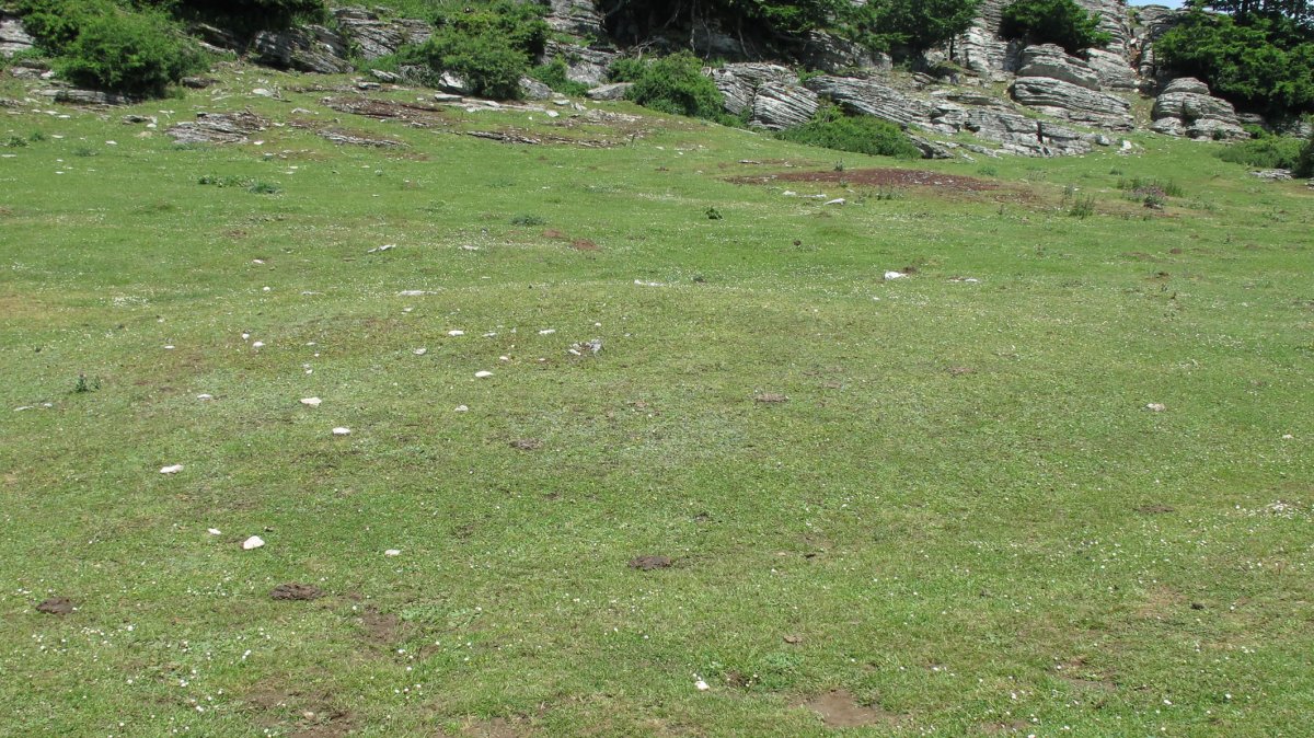 Larginburuko Bidea etxola hondoa, Andia