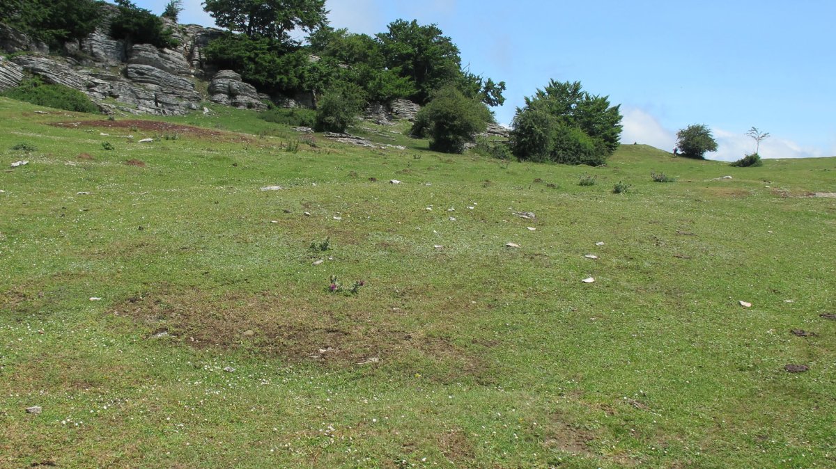 Larginburuko Bidea etxola hondoa, Andia