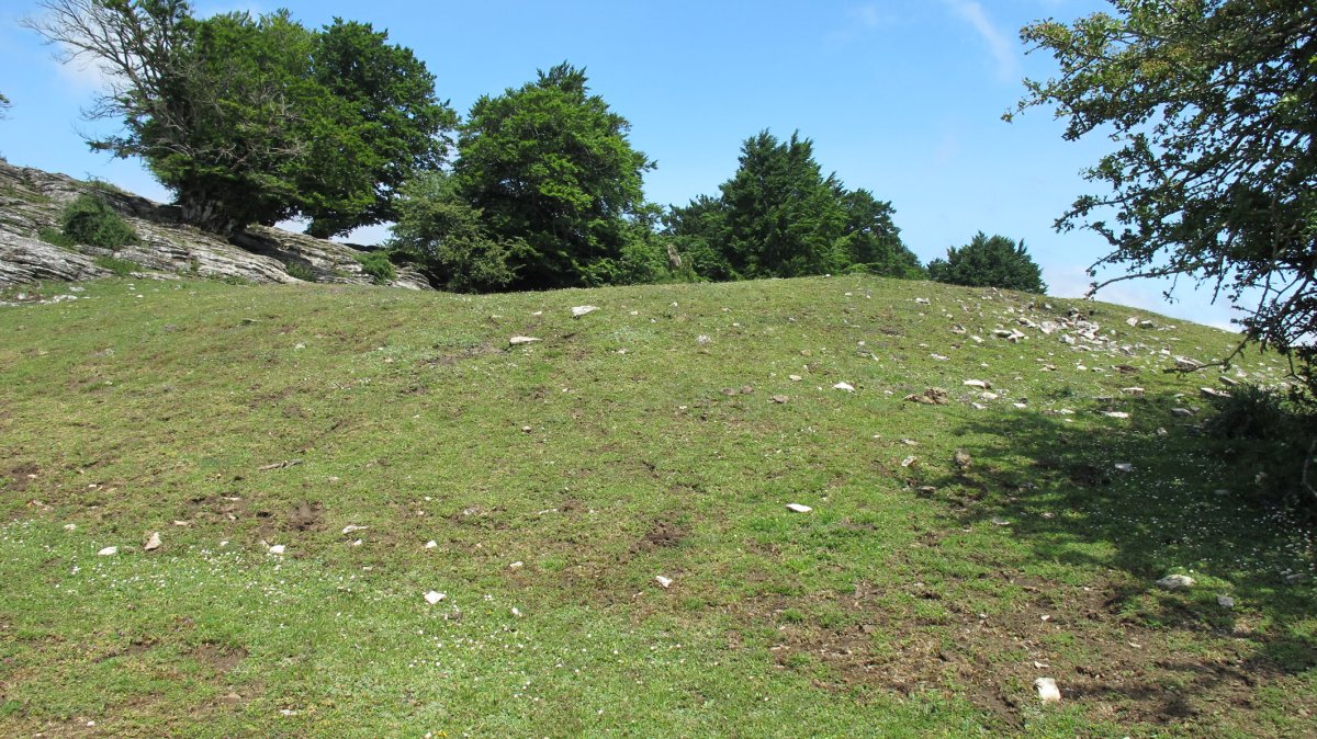 Larginburuko Lepoa etxola hondoa, Andia