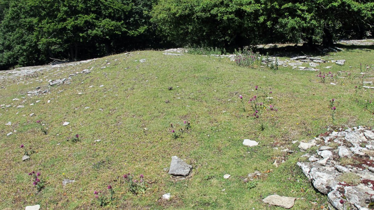 Larginburu hego etxola hondoa, Andia