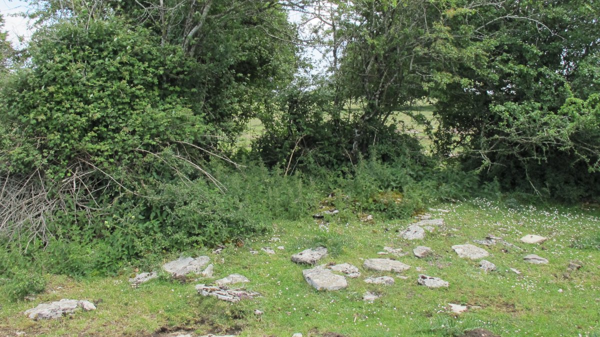 Saguain 2 ekialde trukuharria, Andia