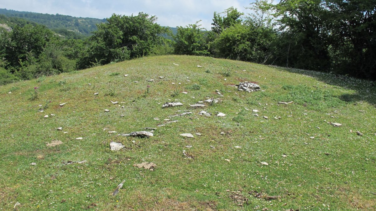 Sima Pamplona etxola hondoa, Andia