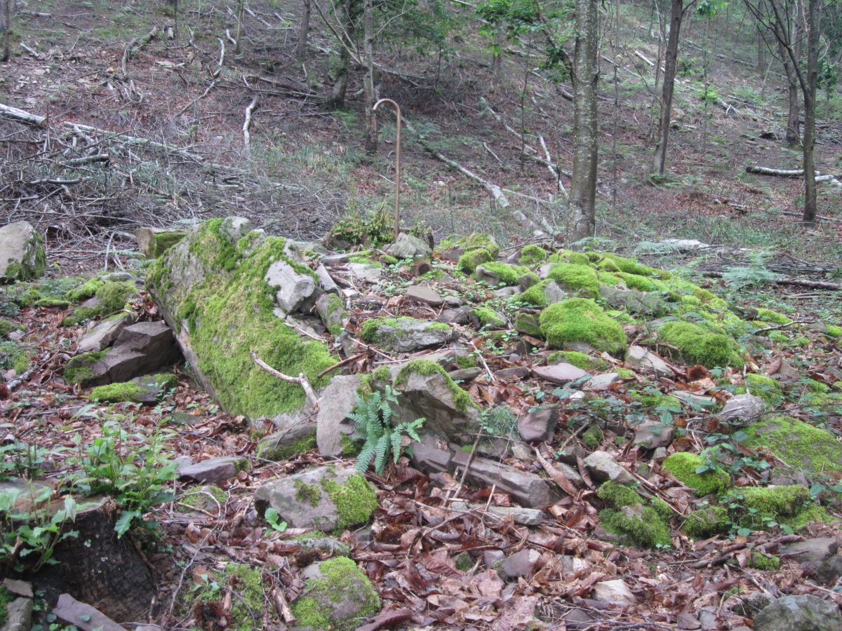 Dólmen Putzuzar   (Junio  2015)