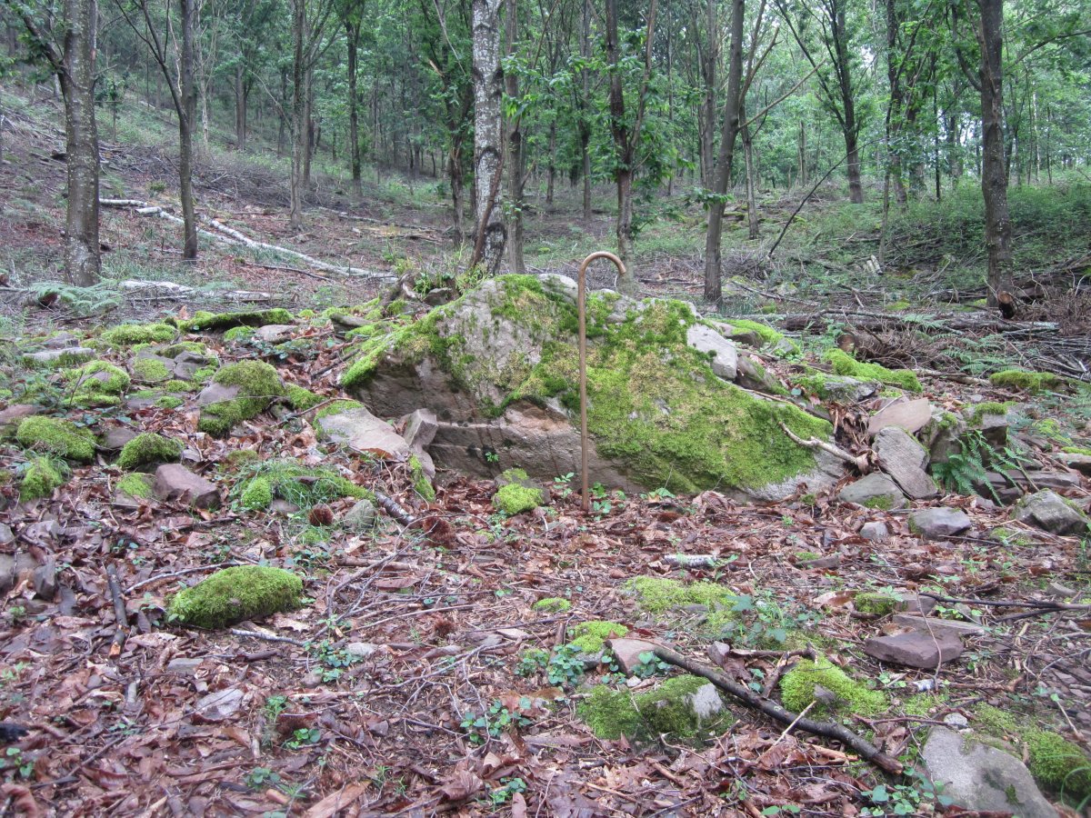 Dólmen Putzuzar   (Junio  2015)