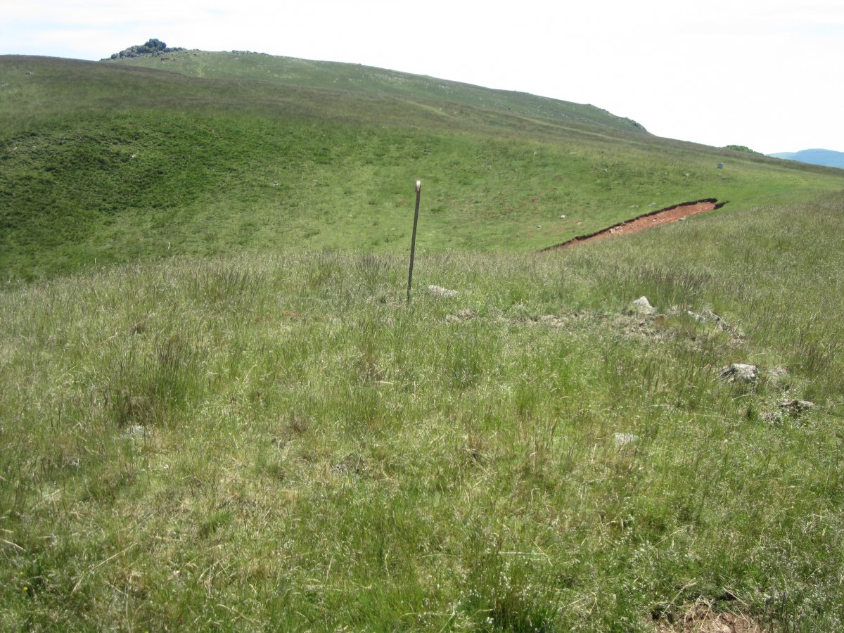 Cromlech Tumular Ilarrita nº 24 (Junio 2015)