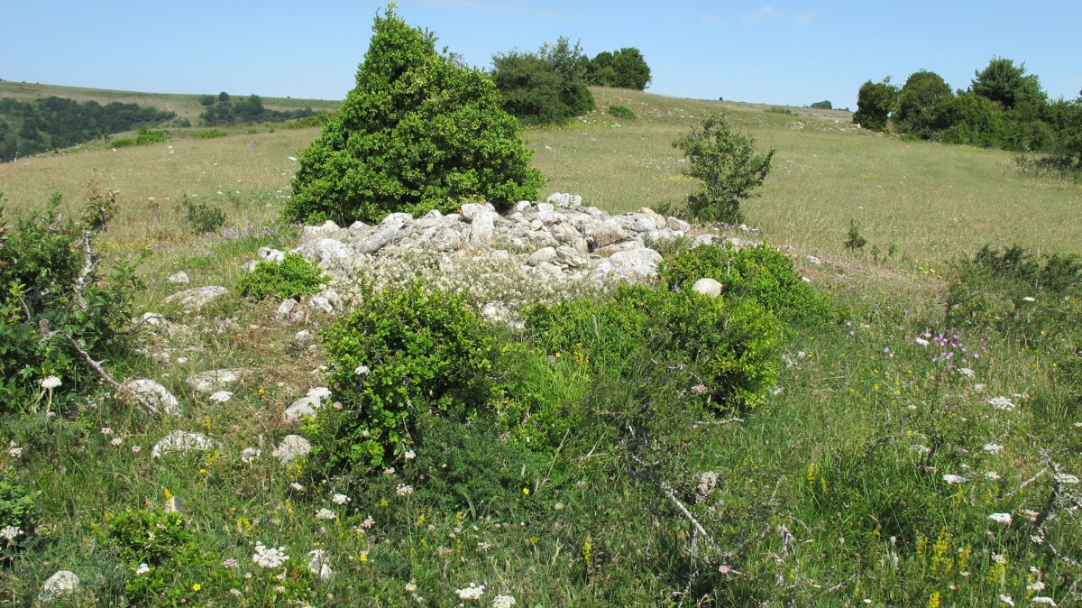 Ostondo 7 tumulua, Munarriz-Goñi