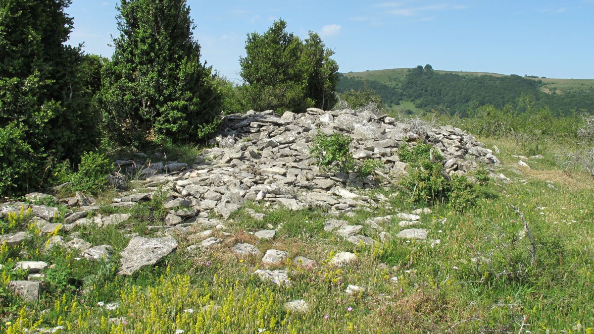 Ostondo 8 tumulua, Munarriz-Goñi