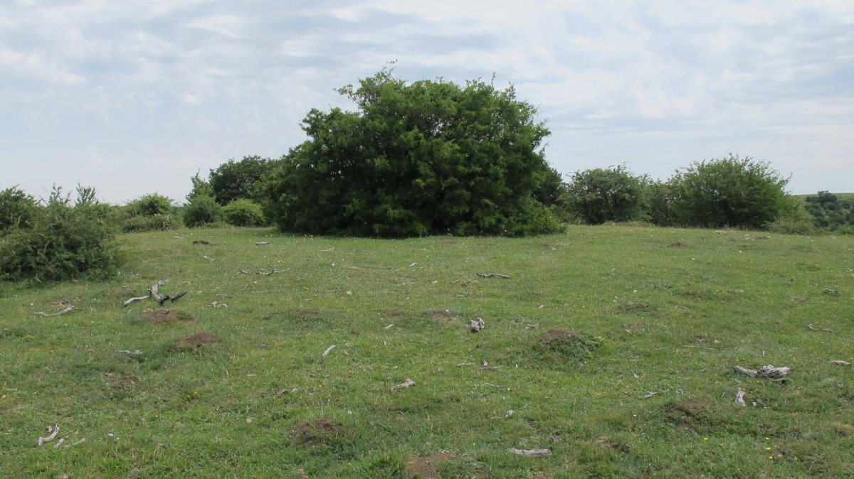 Zillerte eraztun-tumulua, Munarriz-Goñi