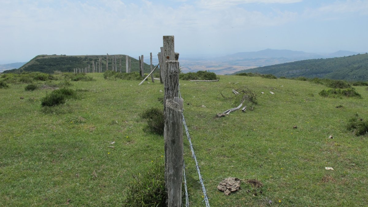 Zoiola eraztun-tumulua, Bidaurre-Gesalatz eta Andia