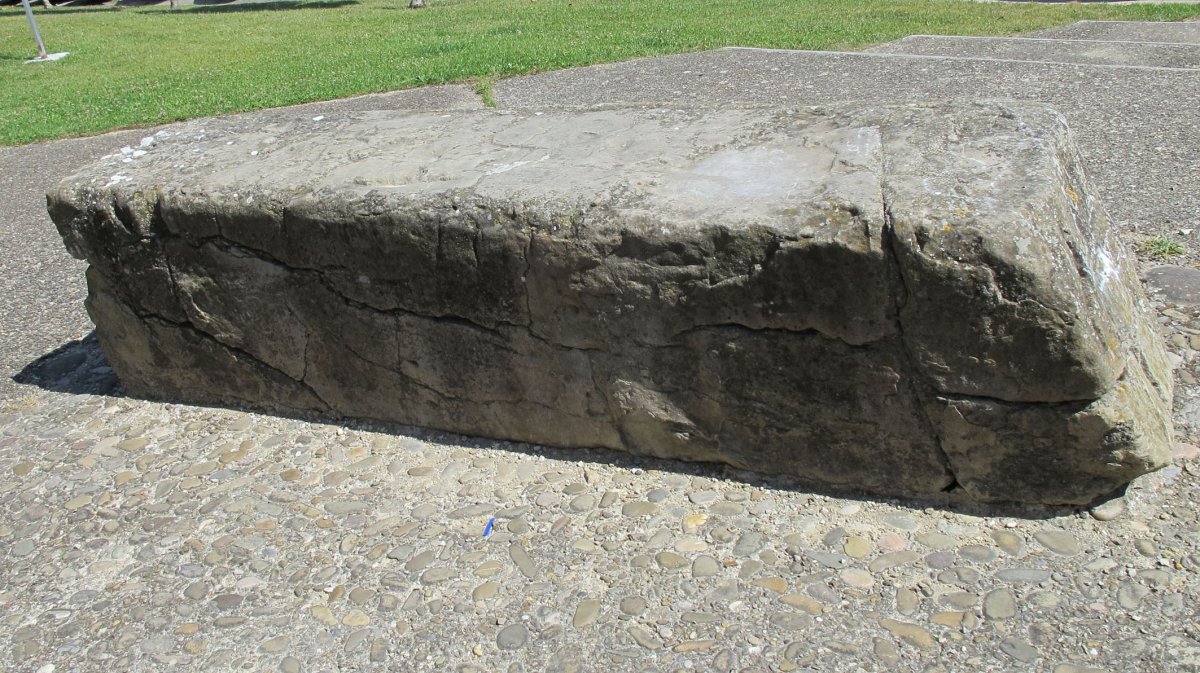 Erroldan Arriya zutarria, Urrotz