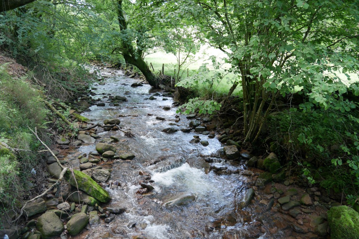 Iñarbegiko erreka Axerixuloetako zubitik