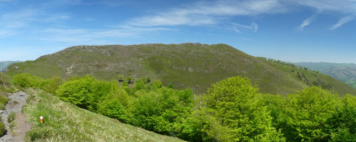 Monaxketako bizkarra