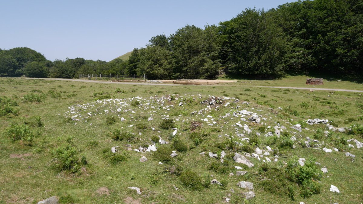 Eteneko Gaña trikuharria