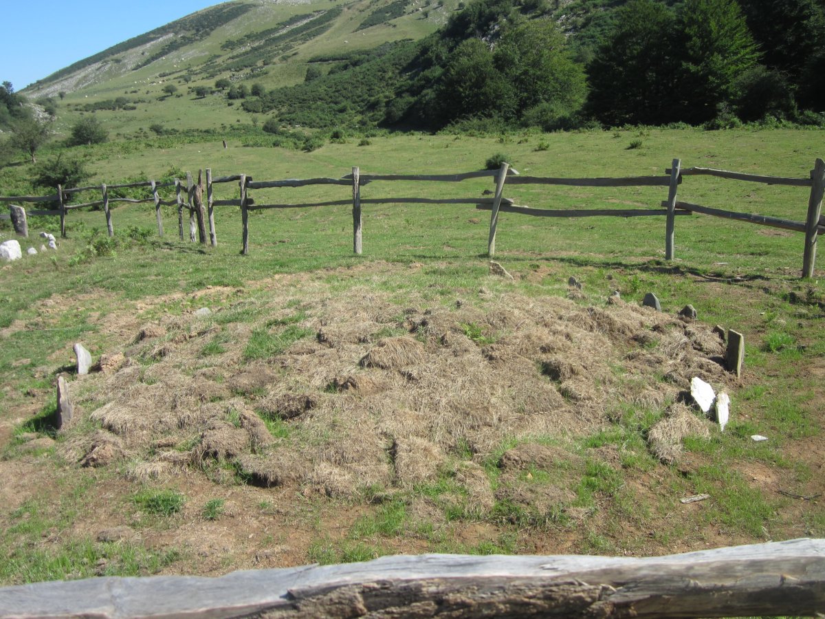 Cromlech Ondarre nº 2   (agosto 2015)