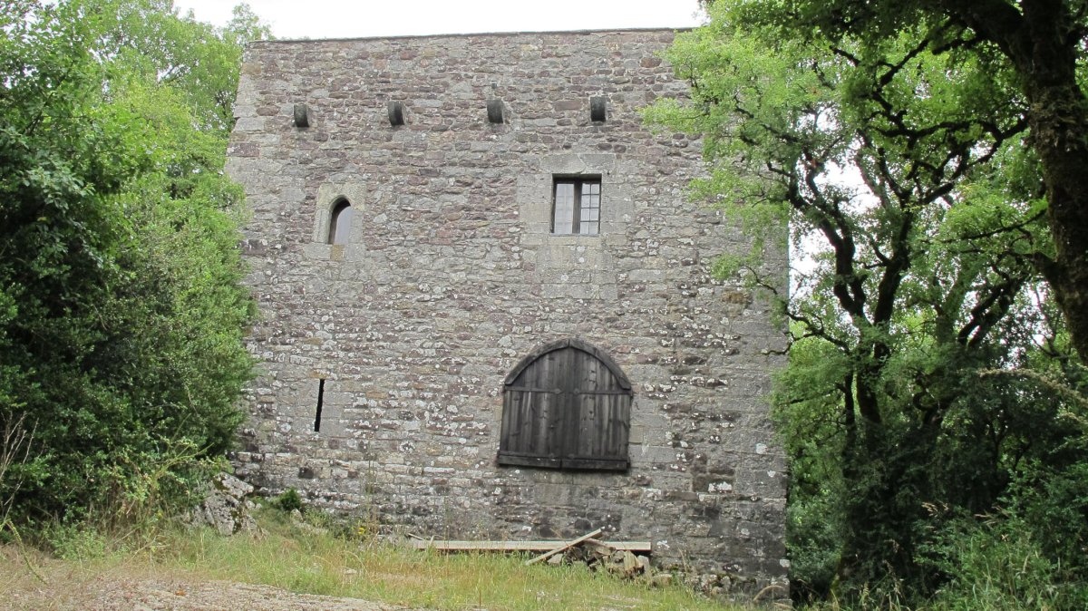 Etxaide dorretxea, Anue