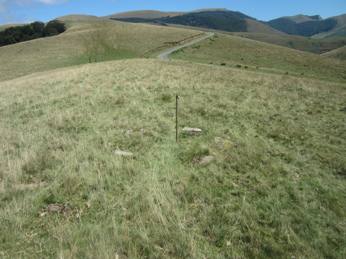Cromlech Iraubazter  (Agosto  2015)