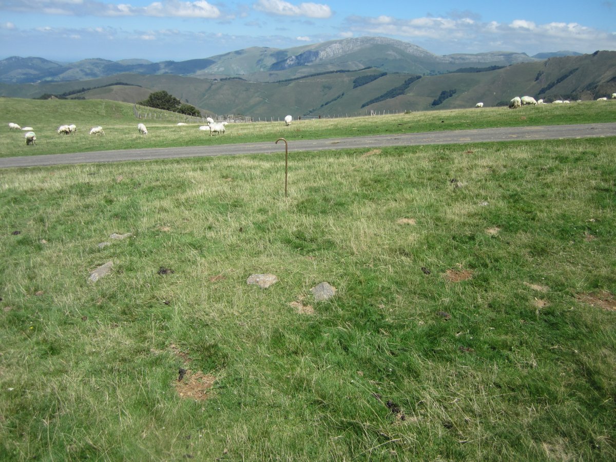 Cromlech Irauko Lepoa (Agosto 2015)