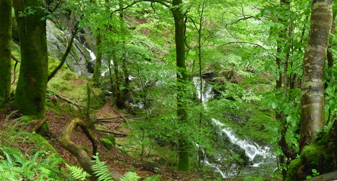 Txarutako errekako urjauziak