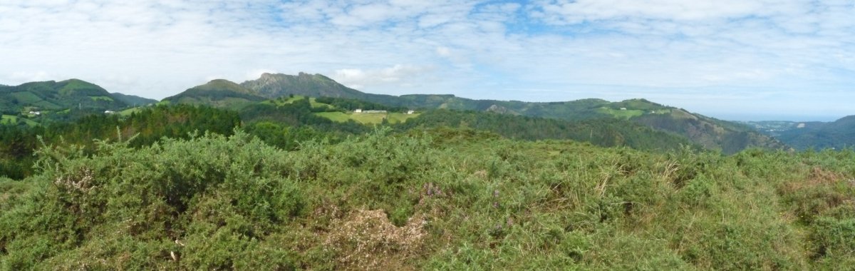 Eskolamendiko gailurra