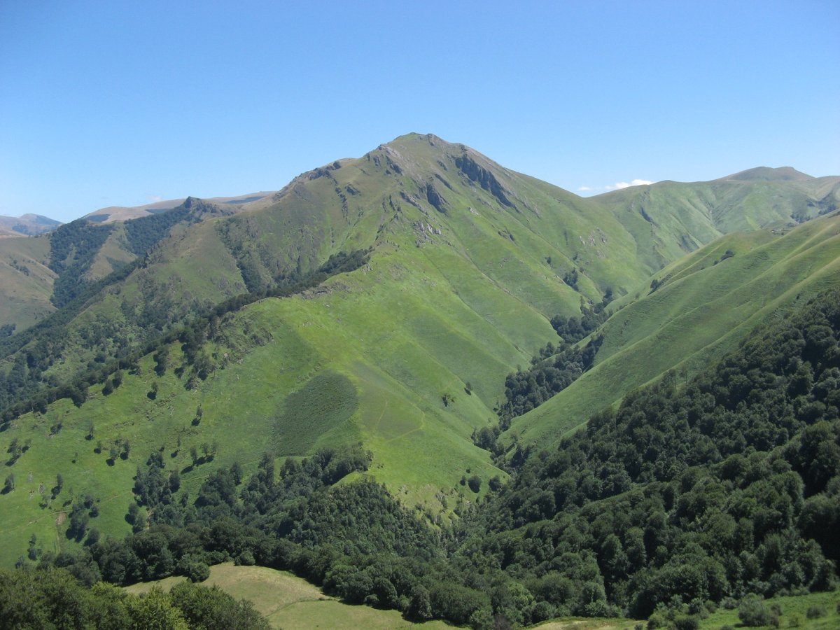 Errozate, Orion basotik