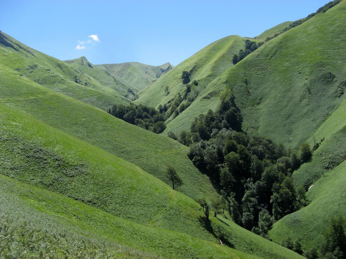 Harpeko erreka, eguzkian...