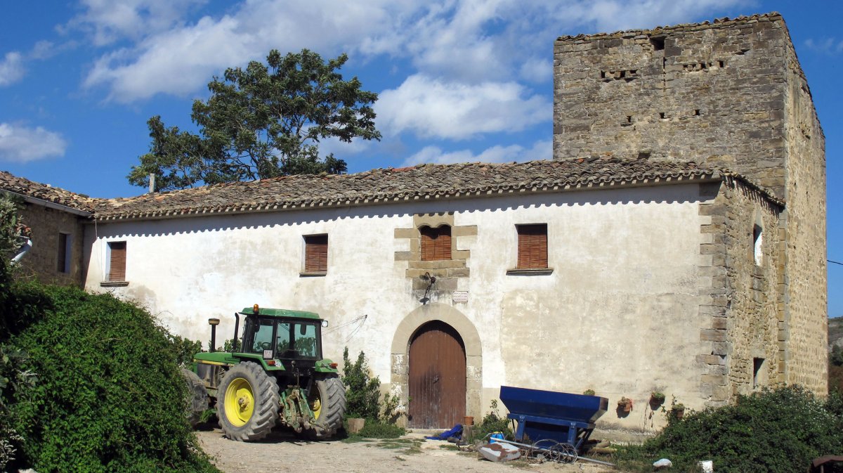 Zuasti jaregia, Zuasti-Longida