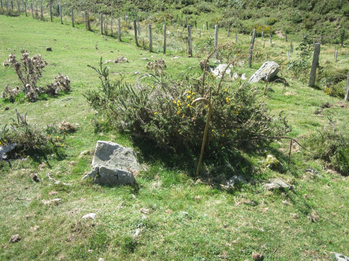 Cista Sorogain (Detrás Dólmen Sorogain) Agosto 2015)