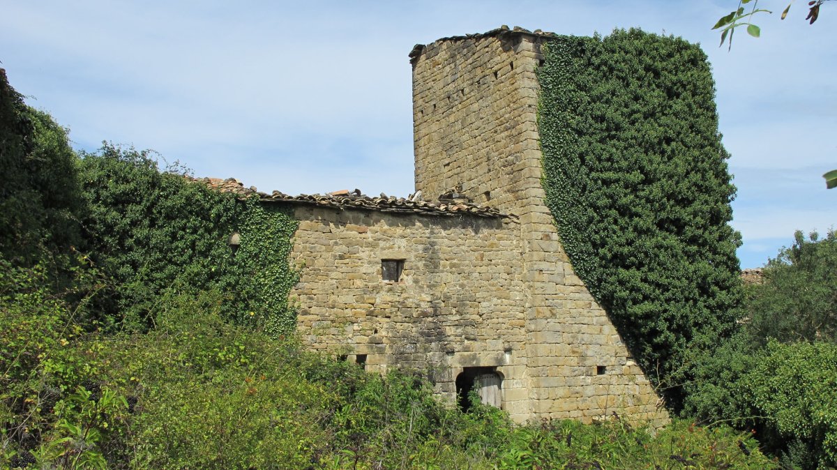 Palacio jauregia, Larrangotz-Longida