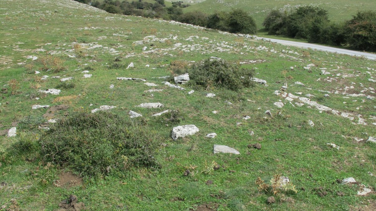 Entremedio 1 ekialde tumulua, Andia