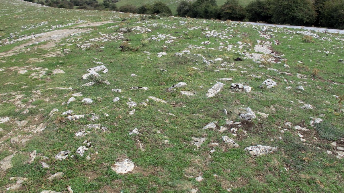 Entremedio 2 erdi tumulua, Andia