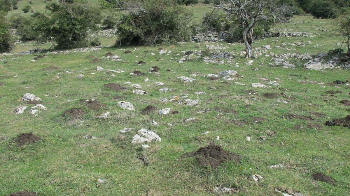 Soosa 3 tumulua, Andia